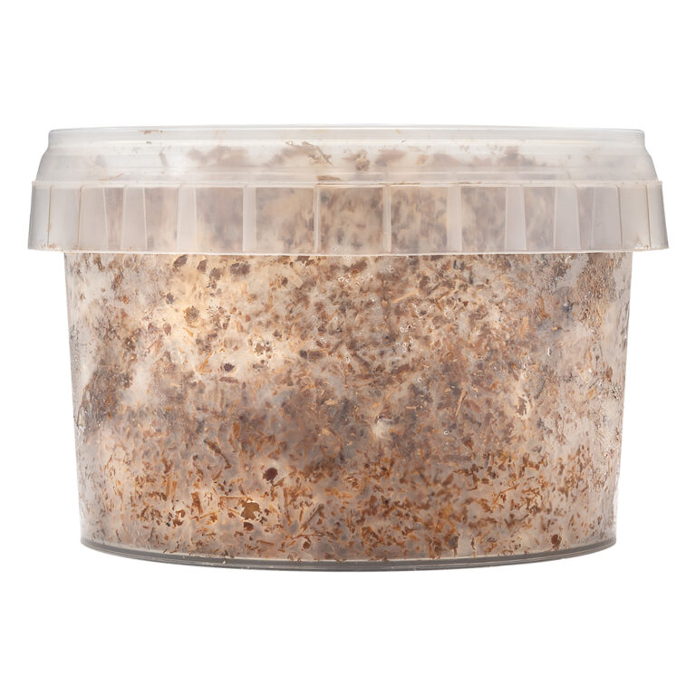 Magic Mushroom Outdoor Grow Kit Azurescens 280ml is een paddo growkit dat mycelium bevat van Psilocybe Azurescens.