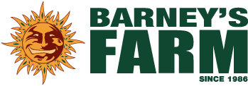 BarneysFarm