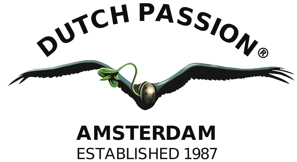 Dutch Passion